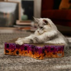 Frisco Halloween Ghost Swirl Scratcher Cat Toy With Catnip 6 Frisco Halloween Ghost Swirl Scratcher Cat Toy With Catnip -Cat Toy Shop 668230 PT3. AC SS1800 V1689343997