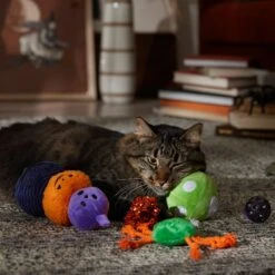 Frisco Halloween Mystical Variety Pack Plush & Balls Cat Toy With Catnip -Cat Toy Shop 668374 PT3. AC SS1800 V1689282492