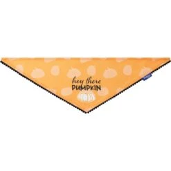 Frisco Hey There Pumpkin Dog & Cat Bandana -Cat Toy Shop 706374 PT3. AC SS1800 V1689282446