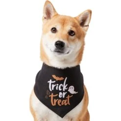 Frisco Trick Or Treat Dog & Cat Bandana -Cat Toy Shop 706398 PT2. AC SS1800 V1690478415