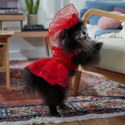 Frisco Red Ruffle Dog & Cat Dress + Headpiece -Cat Toy Shop 707286 PT7. AC SS1800 V1689351702