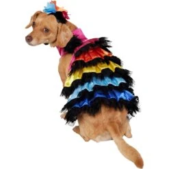 Frisco Ruffle Party Dog & Cat Dress + Headpiece -Cat Toy Shop 707350 PT3. AC SS1800 V1689278371