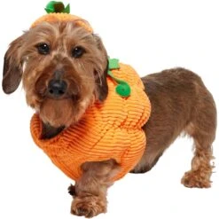 Frisco Pumpkin Ball Dog & Cat Costume -Cat Toy Shop 708902 PT2. AC SS1800 V1689351041