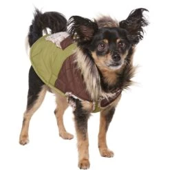 Frisco Heavy Weight 2-Tone Sherpa Lined Hybrid Quilted Dog & Cat Parka -Cat Toy Shop 718038 PT2. AC SS1800 V1703184683