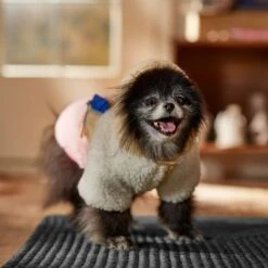 Frisco Colorblock Fleece Dog & Cat Hoodie W/ Pocket -Cat Toy Shop 718278 PT7. AC SS1800 V1692375977