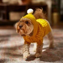 Frisco Sherpa Lined Chunky Cable Knit Dog & Cat Hooded Sweater -Cat Toy Shop 718374 PT7. AC SS1800 V1692379031