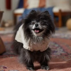 Frisco Sherpa Lined Chunky Cable Knit Dog & Cat Sweater -Cat Toy Shop 718518 PT7. AC SS1800 V1692378338