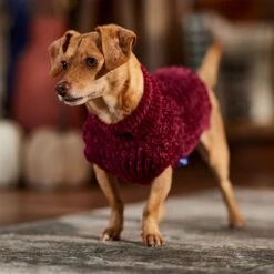 Frisco Cozy Textured Chenille Dog & Cat Sweater -Cat Toy Shop 718614 PT7. AC SS1800 V1692378337