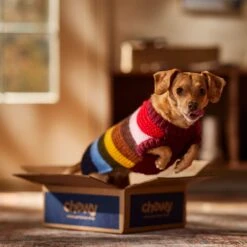 Frisco Chunky Knit Multi-Stripe Dog & Cat Sweater -Cat Toy Shop 718662 PT7. AC SS1800 V1692378219