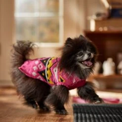 Frisco Bold Nordic V-Neck Dog & Cat Sweater -Cat Toy Shop 718710 PT7. AC SS1800 V1692377763