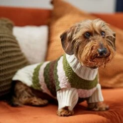 Frisco Bubble Knit Multi Striped Mock Neck Dog & Cat Sweater -Cat Toy Shop 718854 PT7. AC SS1800 V1692378688