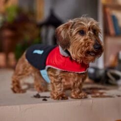 Frisco Medium Weight Retro Colorblock Mixed Media Dog & Cat Coat -Cat Toy Shop 719462 PT7. AC SS1800 V1692379031