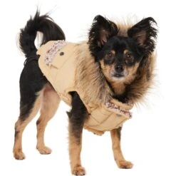 Frisco Heavy Weight Matte Quilted Dog & Cat Parka With Cozy Fleece Lining -Cat Toy Shop 719654 PT2. AC SS1800 V1703184629