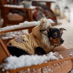 Frisco Heavy Weight Matte Quilted Dog & Cat Parka With Cozy Fleece Lining -Cat Toy Shop 719654 PT7. AC SS1800 V1692376037