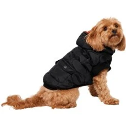 Frisco Heavy Weight Matte Quilted Volume Dog & Cat Puffer -Cat Toy Shop 719750 PT2. AC SS1800 V1703184628
