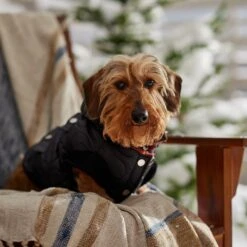 Frisco Heavy Weight Matte Quilted Volume Dog & Cat Puffer -Cat Toy Shop 719750 PT7. AC SS1800 V1692377763