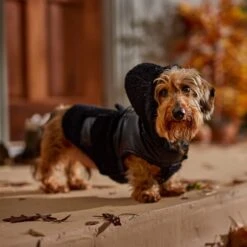 Frisco Medium Weight Faux Leather Dog & Cat Parka With Faux Fur Trimmed Hood, Black -Cat Toy Shop 719798 PT7. AC SS1800 V1692376307