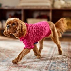Frisco Ruffle Knit Pointelle Dog & Cat Turtleneck Sweater -Cat Toy Shop 720646 PT7. AC SS1800 V1692379033