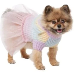 Frisco Rainbow Dog & Cat Sweater Dress -Cat Toy Shop 720934 PT2. AC SS1800 V1703194381