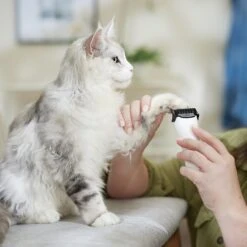 Rechargeable Cordless Cat & Dog Hair Clipper, White -Cat Toy Shop 729710 PT4. AC SS1800 V1683147134