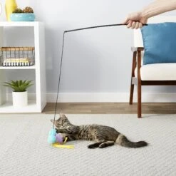 Hartz Delectables Squeeze Up Variety Pack Lickable Cat Treats & Frisco Bird With Feathers Teaser Wand Cat Toy With Catnip -Cat Toy Shop 737438 PT7. AC SS1800 V1670877149