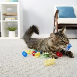 Hartz Delectables Squeeze Up Variety Pack Lickable Cat Treats & Frisco Colorful Springs Cat Toy -Cat Toy Shop 737446 PT7. AC SS1800 V1670877997