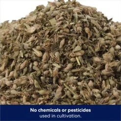 Frisco Natural Catnip & Hartz Just For Cats Mini Mice Cat Toy With Catnip, 5 Count -Cat Toy Shop 737478 PT3. AC SS1800 V1683212198