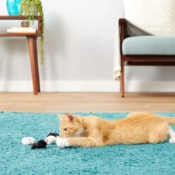 Frisco Natural Catnip & Hartz Just For Cats Mini Mice Cat Toy With Catnip, 5 Count -Cat Toy Shop 737478 PT8. AC SS1800 V1683212080