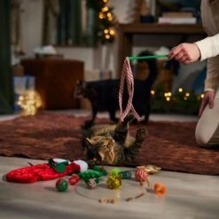 Frisco Holiday Cozy Christmas Sack Variety Pack Cat Toy With Catnip -Cat Toy Shop 740054 PT3. AC SS1800 V1694812461