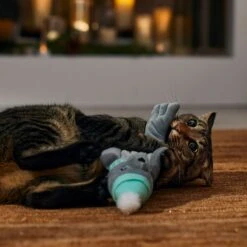 Frisco Holiday Interactive Flopping Seal Electronic Cat Toy With Catnip 10 Frisco Holiday Interactive Flopping Seal Electronic Cat Toy With Catnip -Cat Toy Shop 740102 PT4. AC SS1800 V1695043876