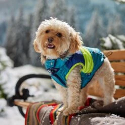 Frisco Heavy Weight Urban City Colorblock Dog & Cat Parka With Sherpa Lining -Cat Toy Shop 742262 PT7. AC SS1800 V1692378161