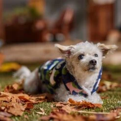 Frisco Medium Weight Urban City Camo Printed Dog & Cat Hooded Coat -Cat Toy Shop 742358 PT7. AC SS1800 V1692376368