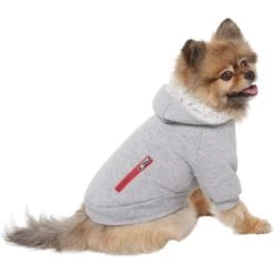 Frisco Sweatshirt Fleece Dog & Cat Hoodie With Sherpa Lining -Cat Toy Shop 742550 PT2. AC SS1800 V1703194378