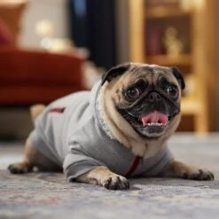 Frisco Sweatshirt Fleece Dog & Cat Hoodie With Sherpa Lining -Cat Toy Shop 742550 PT7. AC SS1800 V1692378690