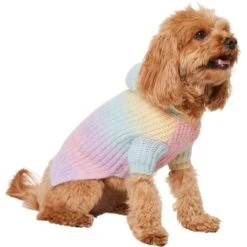 Frisco Soft Multi Stripe Ombre Dog & Cat Hooded Sweater -Cat Toy Shop 742838 PT2. AC SS1800 V1703194379