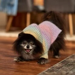 Frisco Soft Multi Stripe Ombre Dog & Cat Hooded Sweater -Cat Toy Shop 742838 PT7. AC SS1800 V1692376365