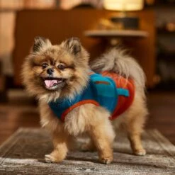 Frisco Light Weight Utility Colorblock Fleece Dog & Cat Vest -Cat Toy Shop 743030 PT7. AC SS1800 V1692378220