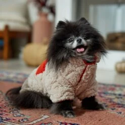 Frisco Medium Weight Quilted Sherpa Dog & Cat Zipper Coat -Cat Toy Shop 744166 PT7. AC SS1800 V1692377763