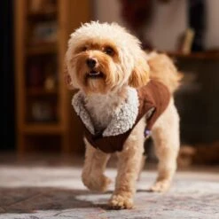 Frisco Medium Weight Quilted Dog & Cat Coat With Cozy Sherpa Lining -Cat Toy Shop 744310 PT7. AC SS1800 V1692375981