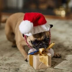 Frisco Chunky Knit Santa Dog & Cat Hat -Cat Toy Shop 744878 PT5. AC SS1800 V1694793814