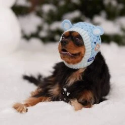 Frisco Nordic Ears Sweater Knit Dog & Cat Hat -Cat Toy Shop 745710 PT5. AC SS1800 V1695671059