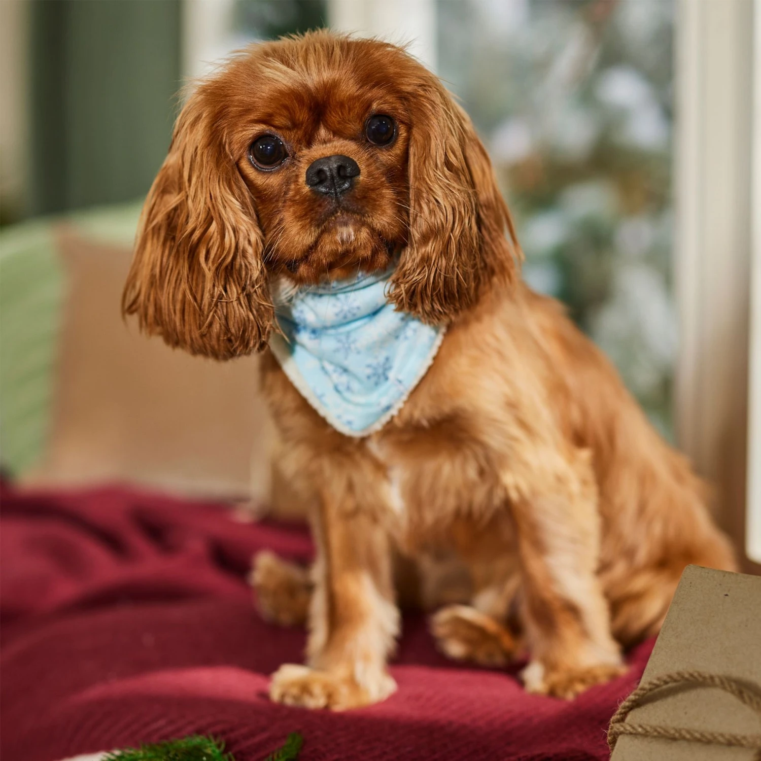 Frisco Reversible Snowflake Cozy Knit Faux Fur Dog & Cat Pullover Bandana, 1 Count 6 Frisco Reversible Snowflake Cozy Knit Faux Fur Dog & Cat Pullover Bandana, 1 Count - Image 6