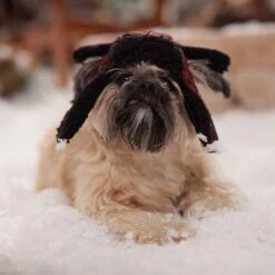 Frisco Tartan Plaid Dog & Cat Trapper Hat -Cat Toy Shop 746750 PT5. AC SS1800 V1694800749