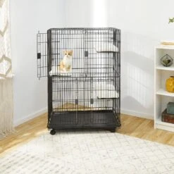 Frisco Collapsible Wire Cat Cage Playpen & Van Ness High Side Corner Cat Litter Pan, Blue -Cat Toy Shop 933382 PT3. AC SS1800 V1692305267