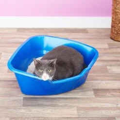 Frisco Collapsible Wire Cat Cage Playpen & Van Ness High Side Corner Cat Litter Pan, Blue -Cat Toy Shop 933382 PT8. AC SS1800 V1692305264