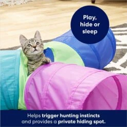 Frisco Foldable Play Tri-Tunnel Cat Toy & Frisco Butterfly Cat Tracks Cat Toy -Cat Toy Shop 933438 PT4. AC SS1800 V1692305507