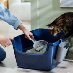 Frisco Open Top Cat Litter Box With Rim, Large & Frisco Plastic Litter Scooper With Caddy -Cat Toy Shop 947526 PT5. AC SS1800 V1693924259