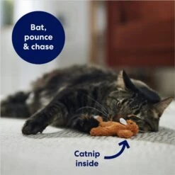 Frisco Squirrel Plush Cat Toy With Refillable Catnip & Frisco Bird With Feathers Teaser Wand Cat Toy With Catnip -Cat Toy Shop 962030 PT3. AC SS1800 V1694783954