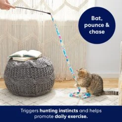 Frisco Fabric Teaser Wand Cat Toy & Frisco Bird With Feathers Teaser Wand Cat Toy With Catnip -Cat Toy Shop 962094 PT3. AC SS1800 V1694782977