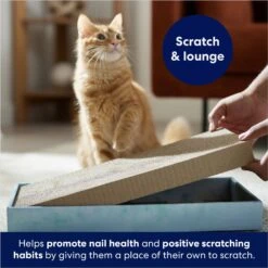 Frisco Double-Wide Cat Scratcher Toy With Catnip & Frisco Double-Wide Cat Scratcher Toy Refill With Catnip, 2 Count -Cat Toy Shop 962110 PT7. AC SS1800 V1694782922